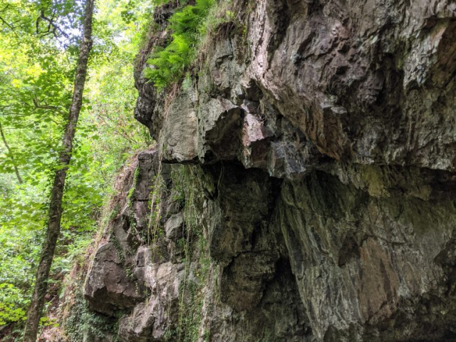 Canonteign Falls