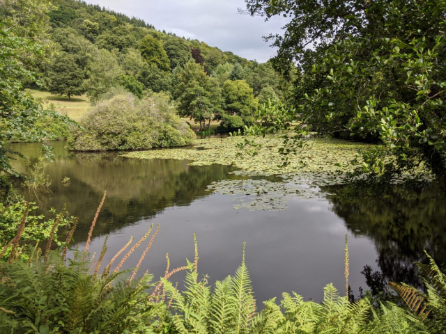 Canonteign Falls