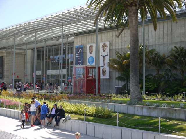 California Academy of Sciences