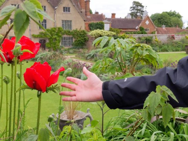 Packwood House